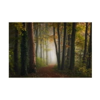 Вие „есенска шарена шума“ платно уметност