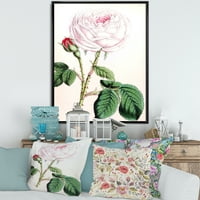 DesignArt 'Антички розов цвет' Традиционално врамено платно wallидно печатење
