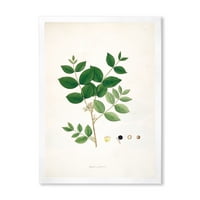 DesignArt 'Антички ботаники vi' Фарма куќа врамена уметничка печатење