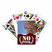 сп цвет пупка фотографија ѕиркаат покер играње карти приватна игра